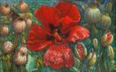 modernus paveikslai interjerui Poppies And The Dew