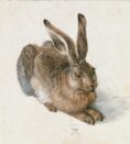 Klasiku reprodukcijos Young Hare