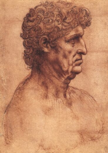 Leonardo Da Vinci [K] The bust of a man in profile
