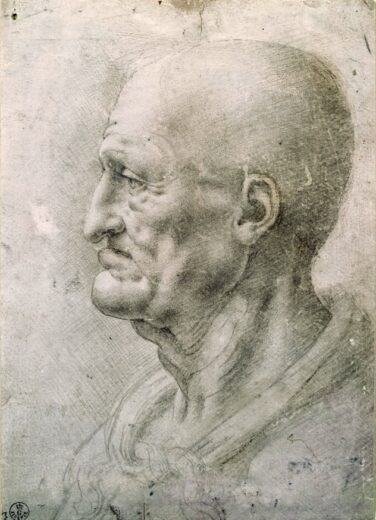 Leonardo Da Vinci [K] The study of an old man