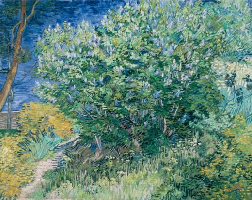 Vincent Van Gogh [K] Lilac bush