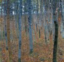 [K] Birch Forest