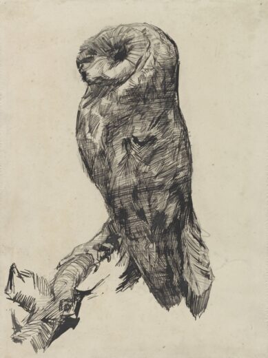 Vincent Van Gogh [P] Barn Owl