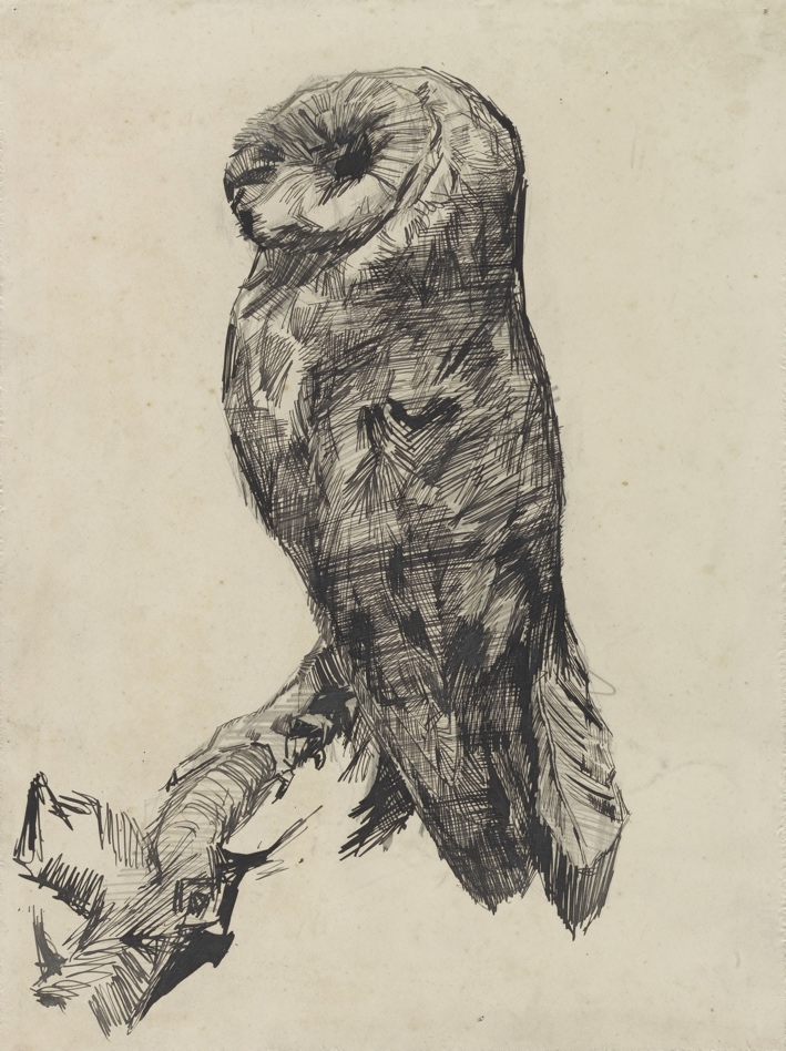 Klasiku reprodukcijos Barn Owl