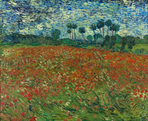 Vincent Van Gogh [P] Aguonų laukas 