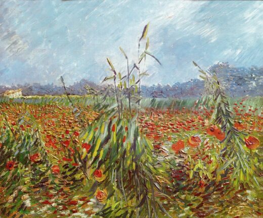 Vincent Van Gogh [K] Žalios kviečių varpos