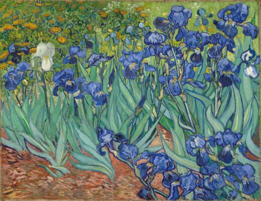 Vincent Van Gogh [P] Irises 