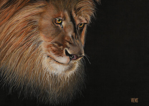 Laima Žeimienė-VIENIS [R] Panthera-leo