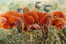 [R] Poppies in Dew ( 2017 )