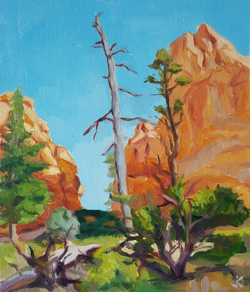 [R] Tree in Bryce