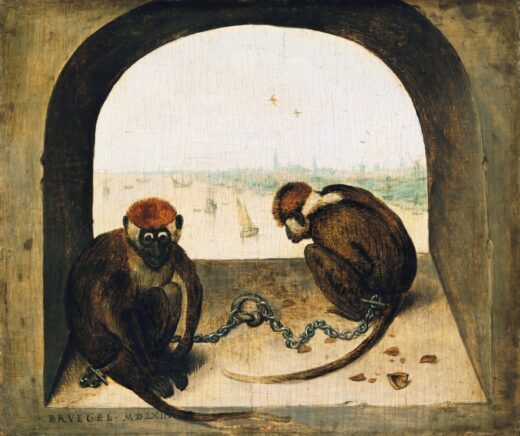 Pieter Bruegel [K] Dvi beždžionės
