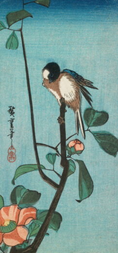Utagawa Hiroshige [K] Juodagalvė zylė