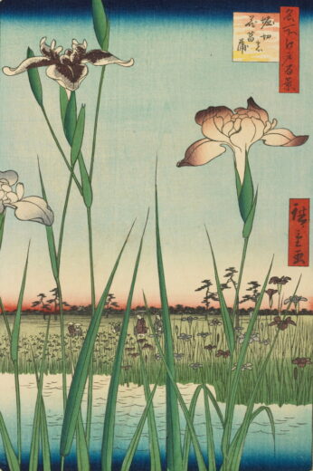 Utagawa Hiroshige [P] Horikiri irisų sodas