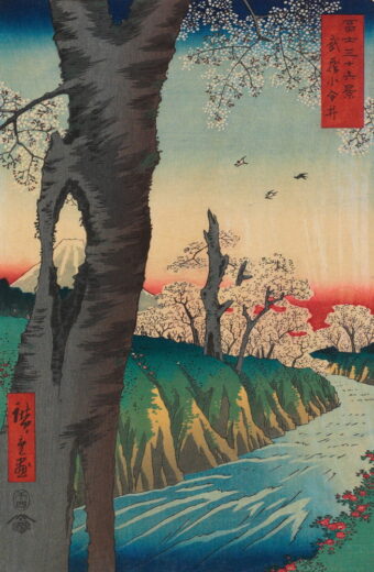 Utagawa Hiroshige [P] Koganei in Musashi province