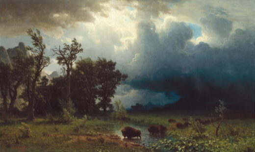 Albert Bierstadt [K] Buffalo Trail: The Impending Storm