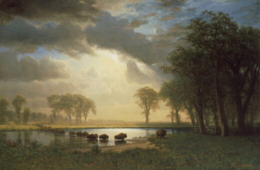 Albert Bierstadt [K] The Buffalo Trail