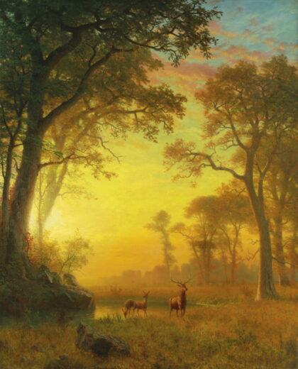 Albert Bierstadt [K] Light in the Forest