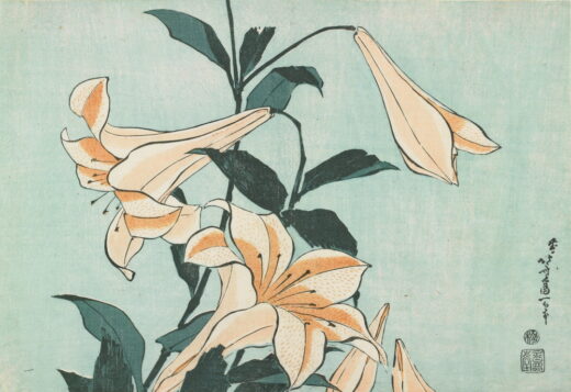 Katsushika Hokusai [K] Lilies