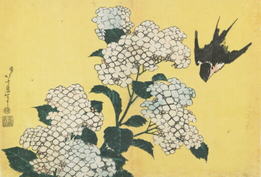Katsushika Hokusai [P] Hortenzijos ir kregždė