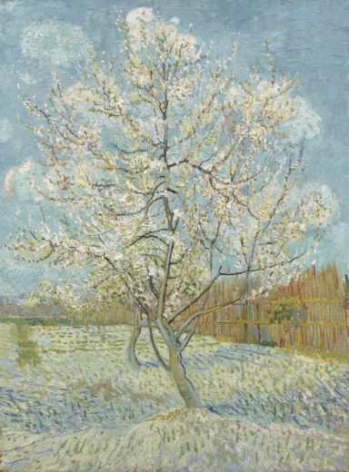 Vincent Van Gogh [P] The Pink Peach Tree