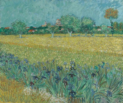 Vincent Van Gogh [K] Garden at Arles