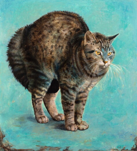 Onutė Juškienė [R] Streaky cat on turquoise background