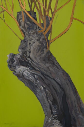 Peeter Krosmann [R] Olive tree II (2020)