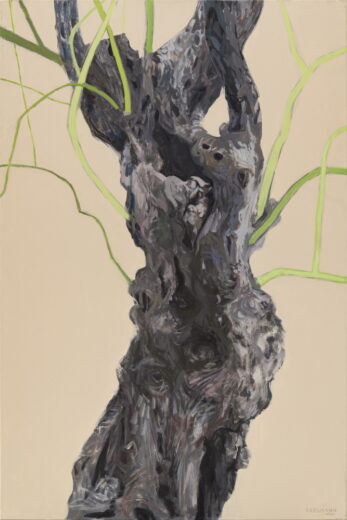 Peeter Krosmann [P] Olive tree I (2020)