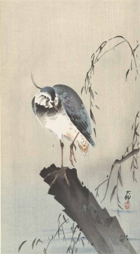 Ohara Koson [K] Ant kelmo