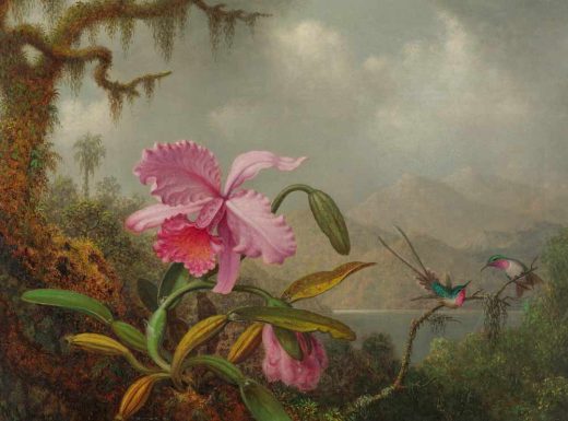 Žymūs XVII - XX a. tapytojai [P] Martin Johnson Heade - Orchids and Hummingbirds