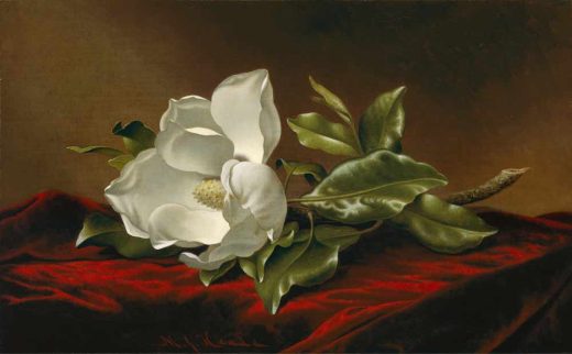 Žymūs XVII - XX a. tapytojai [K] Martin Johnson Heade - Magnolia
