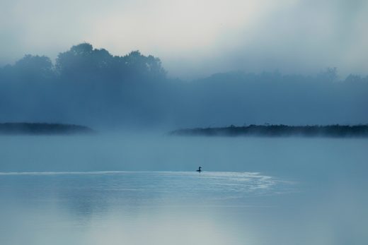 [D] Ryto rūke